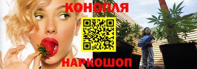 прущие грибы Татарск