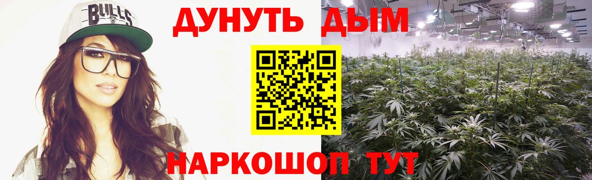 Каннабис тримм  Вход с VPN  Конопля ГИДРОПОН  Шишки марихуана индика  Нижнекамск  Марихуана планчик 